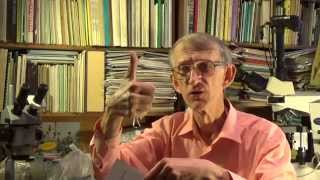 Почему и За Что Ютуб Банит Каналы? YouTube Account Was Banned? Часть-2