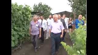 Развитие чернянского фермерства