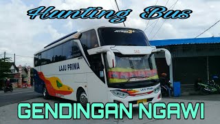 Hunting Bus di Gendingan Ngawi