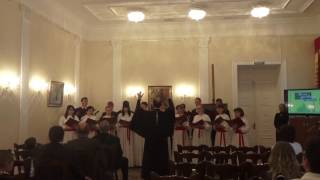 Выступление на благотворительном аукционе 15.05.2016