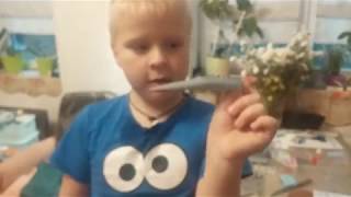 Сборка модели Звезда МиГ-31