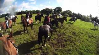 Flowerhill Equestrian Centre, Ireland 2012