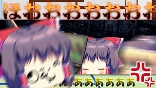 【ゆっくりホラー実況】もんのすごくカオスな精神病院にゆっくり達が出向くらしいPart22