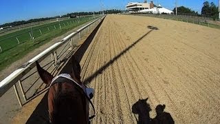 Thoroughbred Race Horse Helmet Camera Workout. GoPro HERO