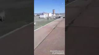 Кел кел ауылға(Ст.Жарма ауылында түсірілген)