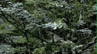 Tata Safari Commercial's (2002 - 2009) UPDATED!!