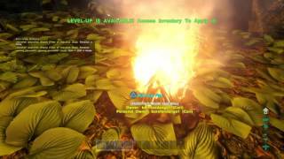 WE ARE MUGGERS - ARK Survival Evolved