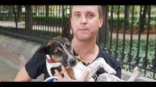 PERRO TRAVIESO | Broma con cámara oculta