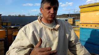 ПЧЕЛОВОДСТВО КАК РАСШИРИТЬ ПЧЕЛОПАКЕТ Секреты начинающим