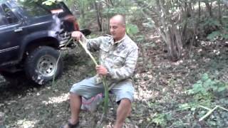 Рогоз (камыш) в пищу. Crimea. Крым.