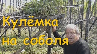 Кулёмка на соболя