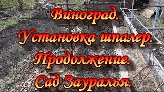 Виноград.Продолжение.Установка шпалер.Сад Зауралья.