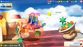 Do you like Butterfly Dragon ? - Dragon Mania Legends