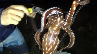 シャコガイとウニとタコの現地食い