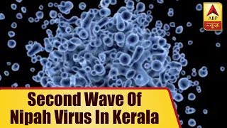There Could Be A Second Wave Of Nipah Virus In Kerala | ABP News
