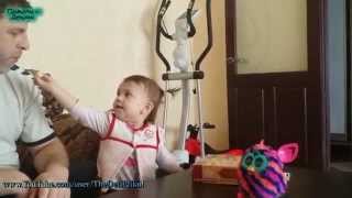 Ребенок кормит папу! Приколы с Детьми! / Child feeding dad!