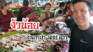 EP#47 ซื้อวัวน้อยตลาด เมืองสวรรค์เขต ตลาดเย็นปลาเเม่น้ำ ของป่าเยอะมาก