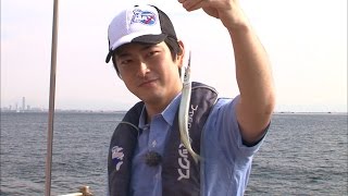 南芦屋浜でファミリーフィッシング　お手軽！簡単！人気のサヨリ絶好調！/四季の釣り/2016年10月28日OA