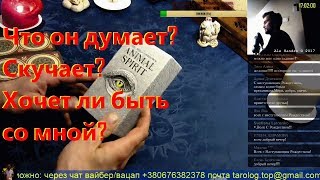 Гадание онлайн Таро  Что он думает? Скучает? Хочет ли быть со мной? Алехандро Таро онлайн