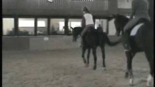 Reitunterricht mit meiner Reitbeteiligung