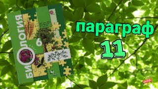 11 параграф "Цветок, его строение и значение" БИОЛОГИЯ 6 КЛАСС //Учиться на 5// §11 биология 6 класс