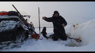 Рыбалка на Енисее 05.12.2019