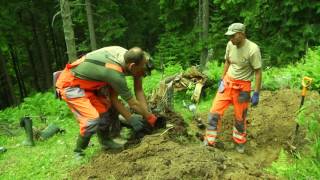 Захоплююче відео пошукової експедиції «Карпати -2017»