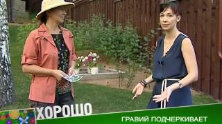 Ландшафтные истории. Выпуск 6