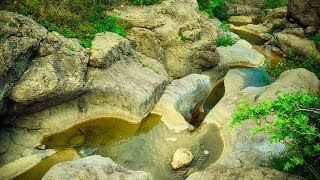 Зеленогорье Арпат и урощиче Панагия