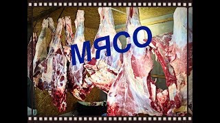 МЯСО ! Зарезали 2х бычков .