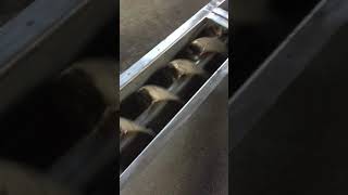 Шнековый транспортер в коробе или трубе