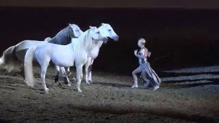 Liberty with 3 horses - Sylvia Zerbini - Night of the Horse 2016 - Del Mar National Horse Show