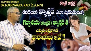 How does cancer begin ? Causes of Uterine Cancer ?| గర్బాశయ కాన్సర్ కి కారణాలు