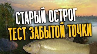 РУССКАЯ РЫБАЛКА 4. Линь на махи, озеро Старый Острог.