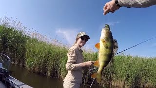 Ловля окуня! Рыбалка с женой! Копчение Рыбы