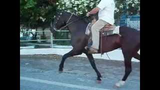 Aravani Skopelos Patsis Melek 1
