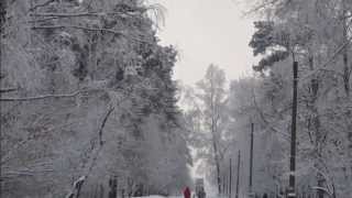 Некрасовка. Зимний фотоэтюд.
