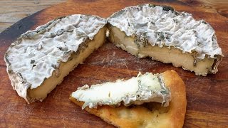 Formaggio erborinato fatto in casa