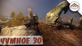 ЧУМНОЕ ЗО! ПОЗНАКОМЬТЕСЬ С KIZUNE! WARFRAME!