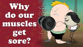 Why do our muscles get sore? | #aumsum
