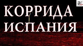 Как гоняют быка пикадоры на Испанской Корриде.