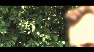 RICHARD DURAND - ALWAYS THE SUN (NYC)