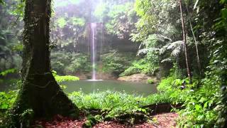 Коран Сура аль Бакъарат айат152 193 на фоне природы чтец Qari Youssef