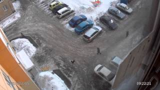 Челябинск. 15.02.2013г (съемка камеры наблюдения)