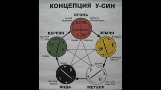 Опухание Яичка. Урология. Помощь точками Акупунктуры.