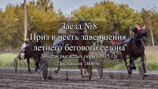 Заезд №8 Приз в честь завершения летнего бегового сезона
