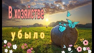 Собираемся уезжать//Что творится на почте!//Хозяйство//