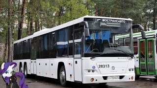 Поездка на автобусе ГолАЗ-622810-10 (МТА) № 20313 Маршрут № 904 Дзержинский