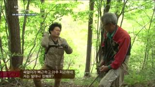 산삼을 화분에 심은 이유?!