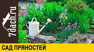 ? Сад пряностей: создание, уход, выбор растений - 7 дач